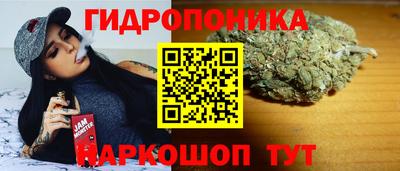apvp Нягань