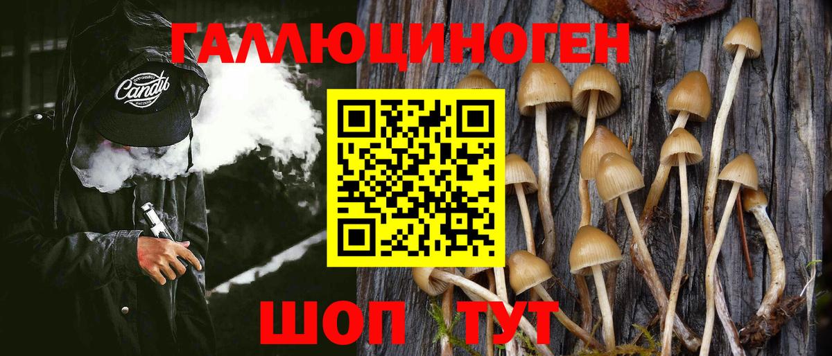 Галлюциногенные грибы Magic Shrooms Туймазы