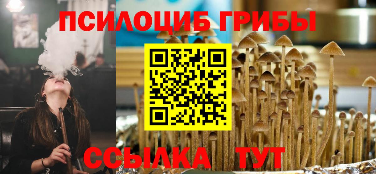 Туймазы  Псилоцибиновые грибы Psilocybine cubensis  Галлюциногенные грибы прущие грибы  Вход с VPN 